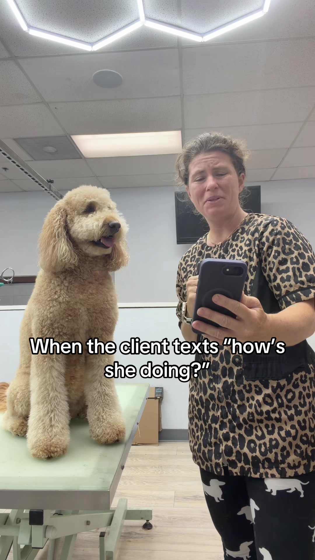 @Gadget groomer