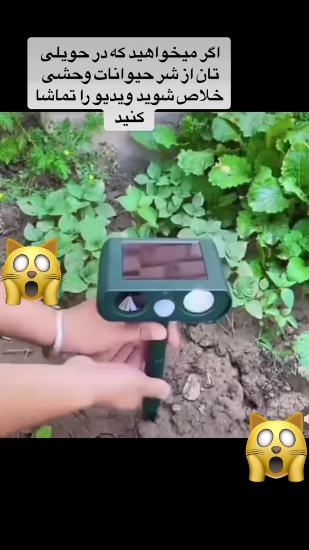 @Rahimi