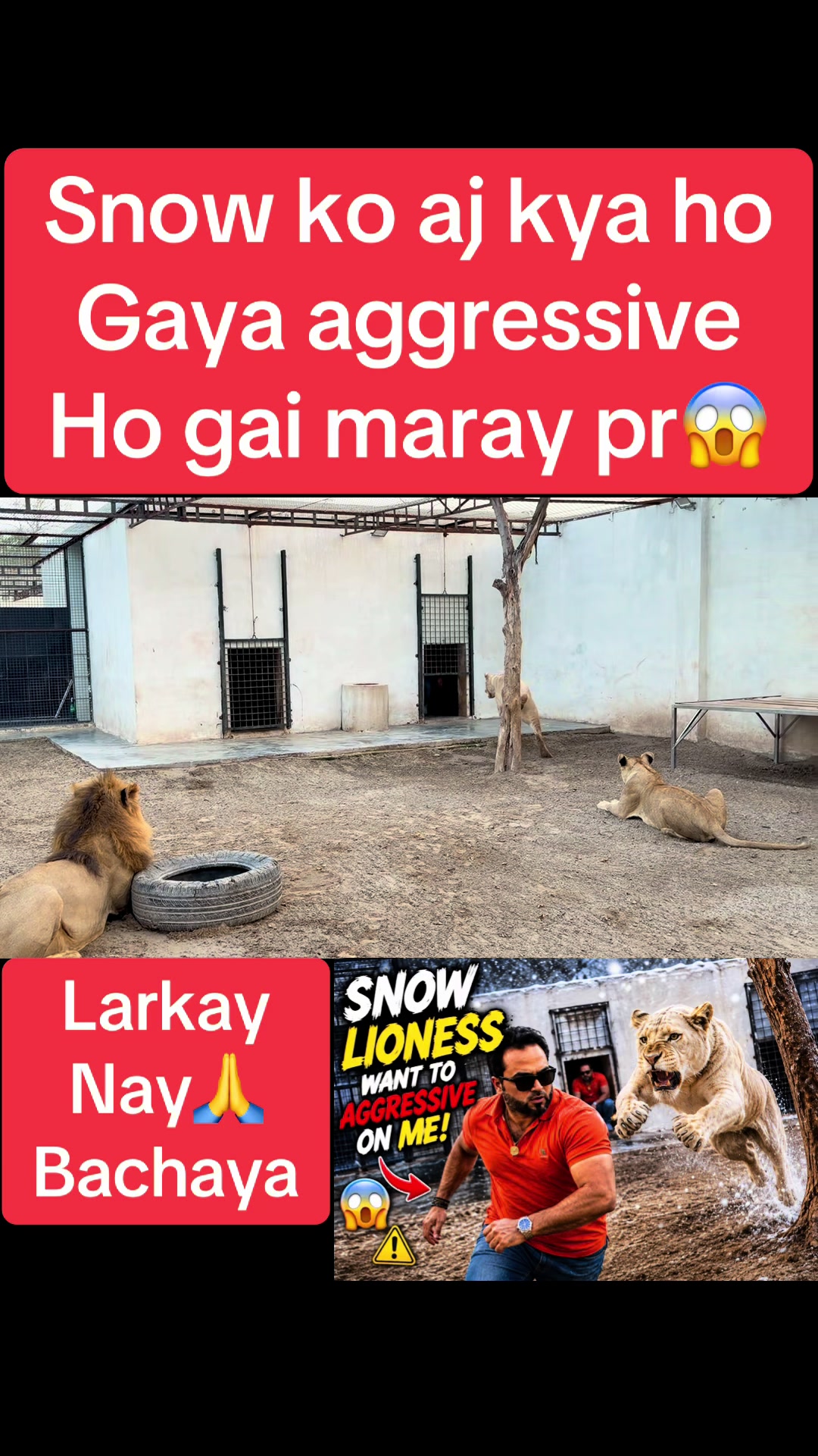 @Mian saqib