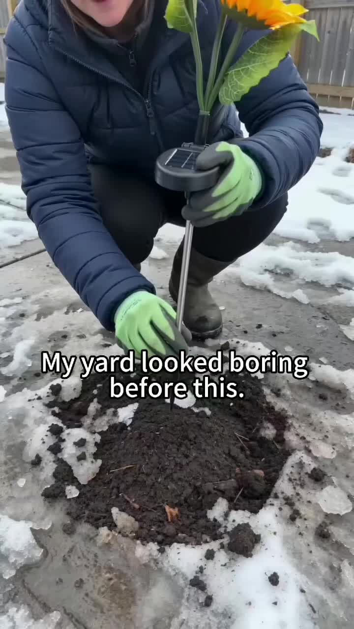 @Audrey