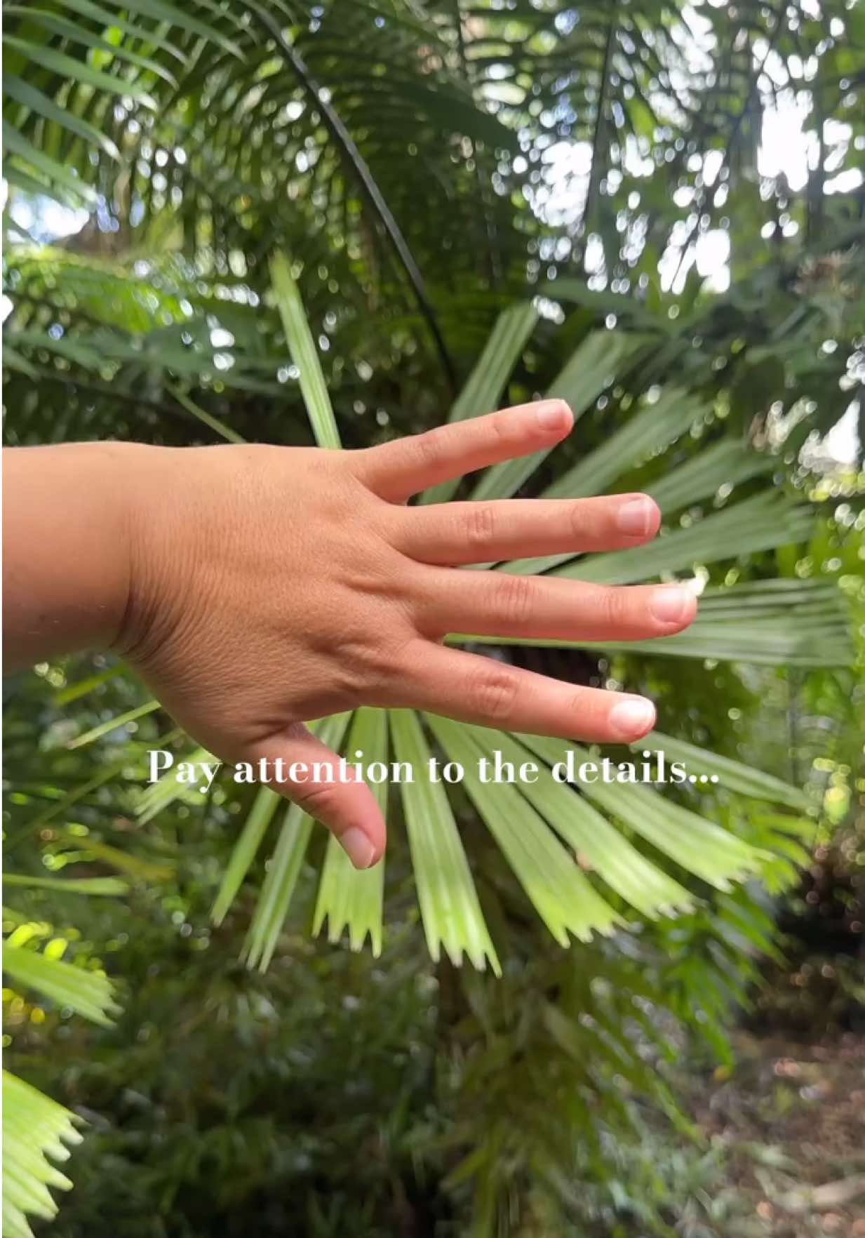 @Fairchild Botanic Garden