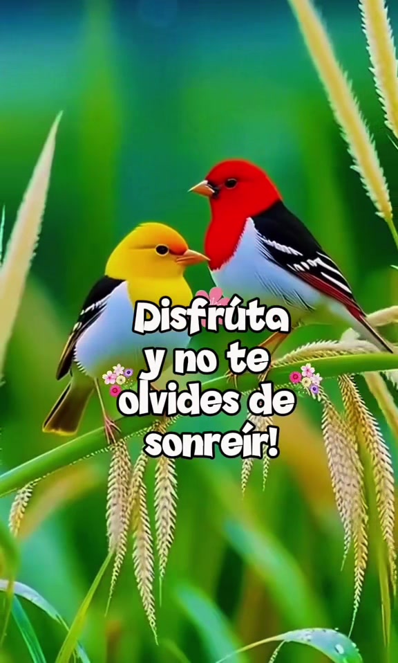@Palomalucia_24 Cuenta Oficial