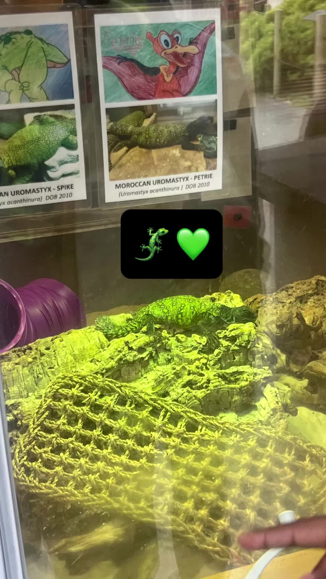 @thaatoxic1