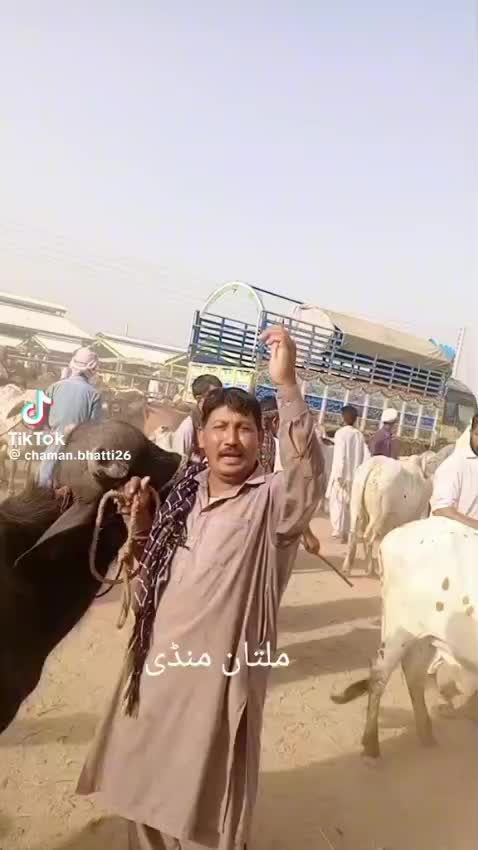 @raoishaq88