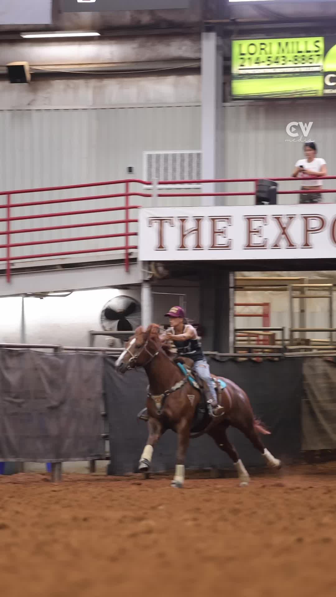 @TF Performance Horses