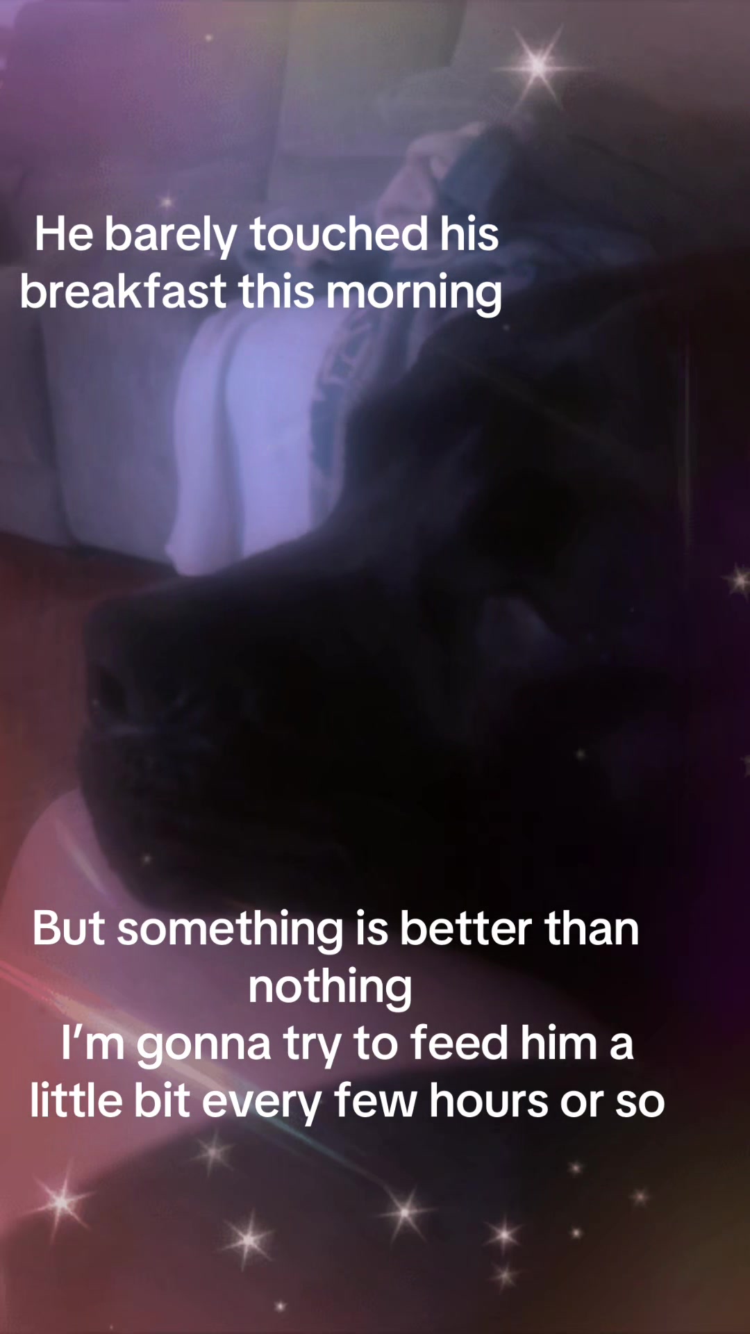 @👻🌙R617BD✨💫☠️🕸️❤️🩹