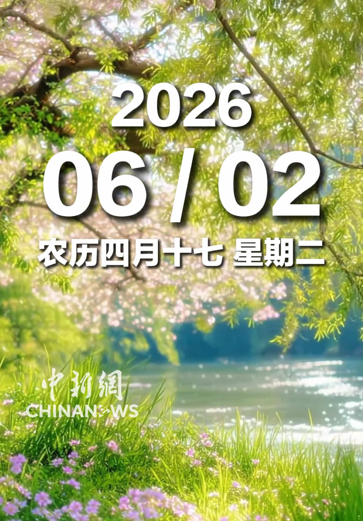 @中國僑聲傳媒