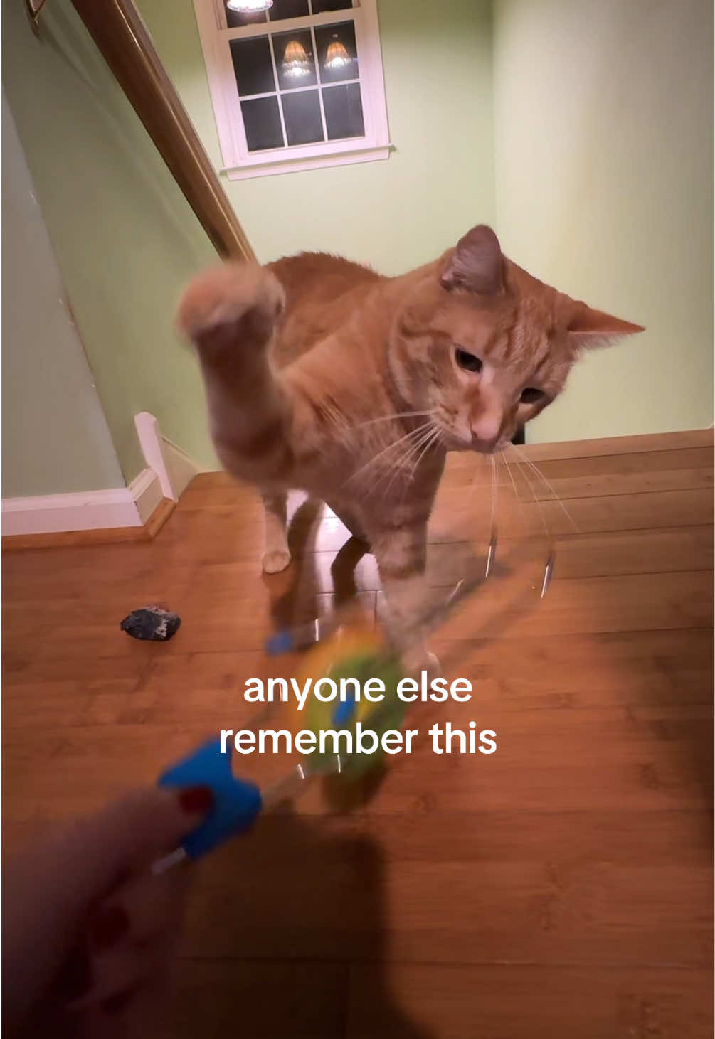@heather🫧