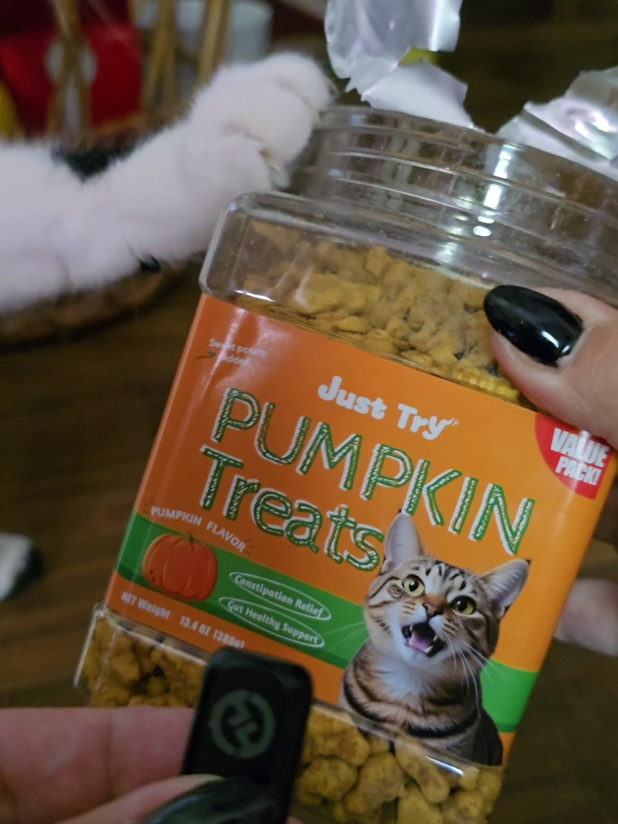 @𝓚𝓪𝓽 𝓦𝓱𝓮𝓮𝓵𝓮𝓻🐈&zwj;⬛