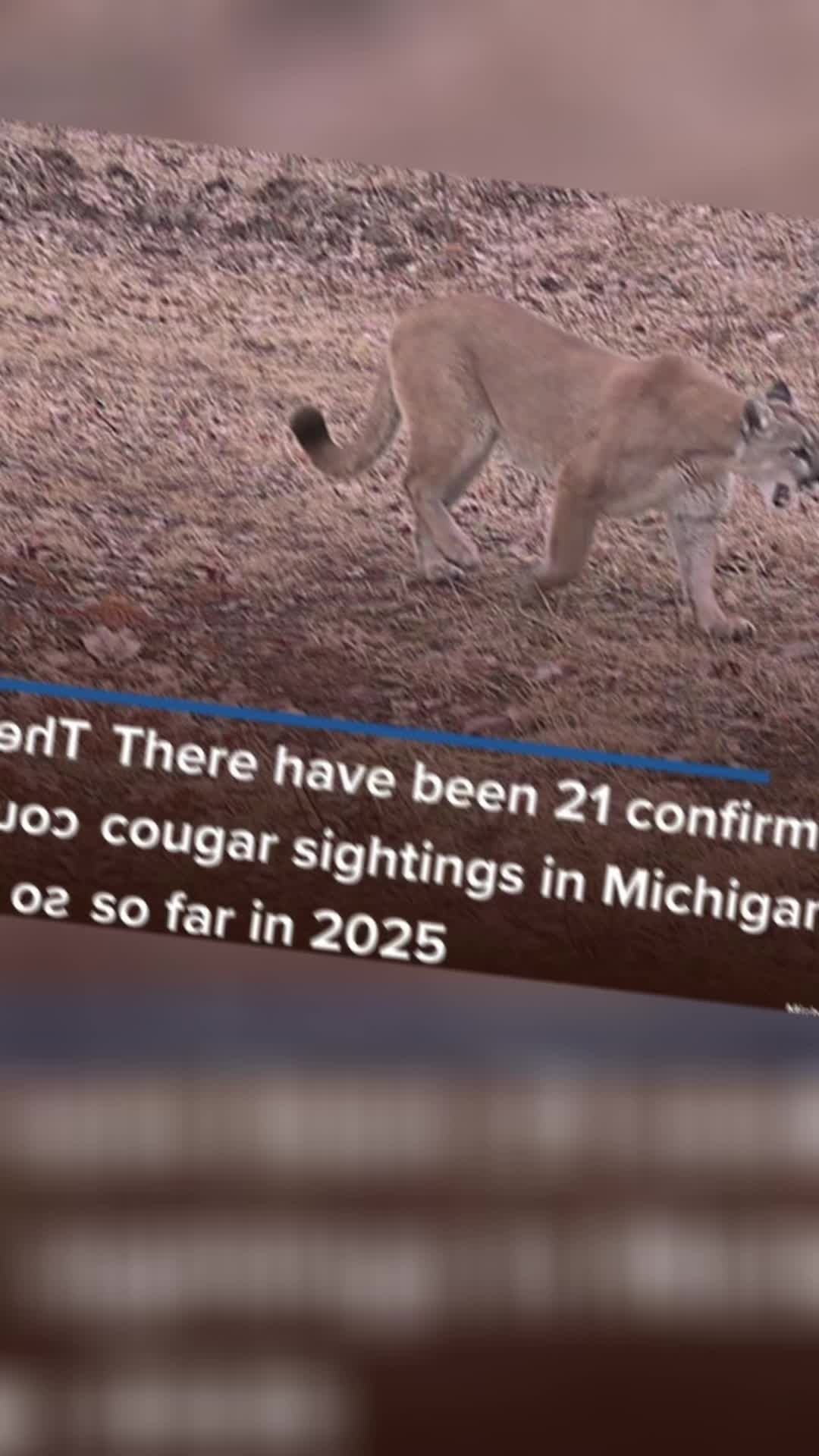 @Teresa❌