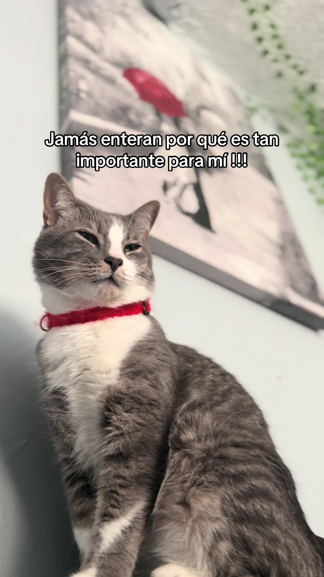 @Vanessa Mendoza