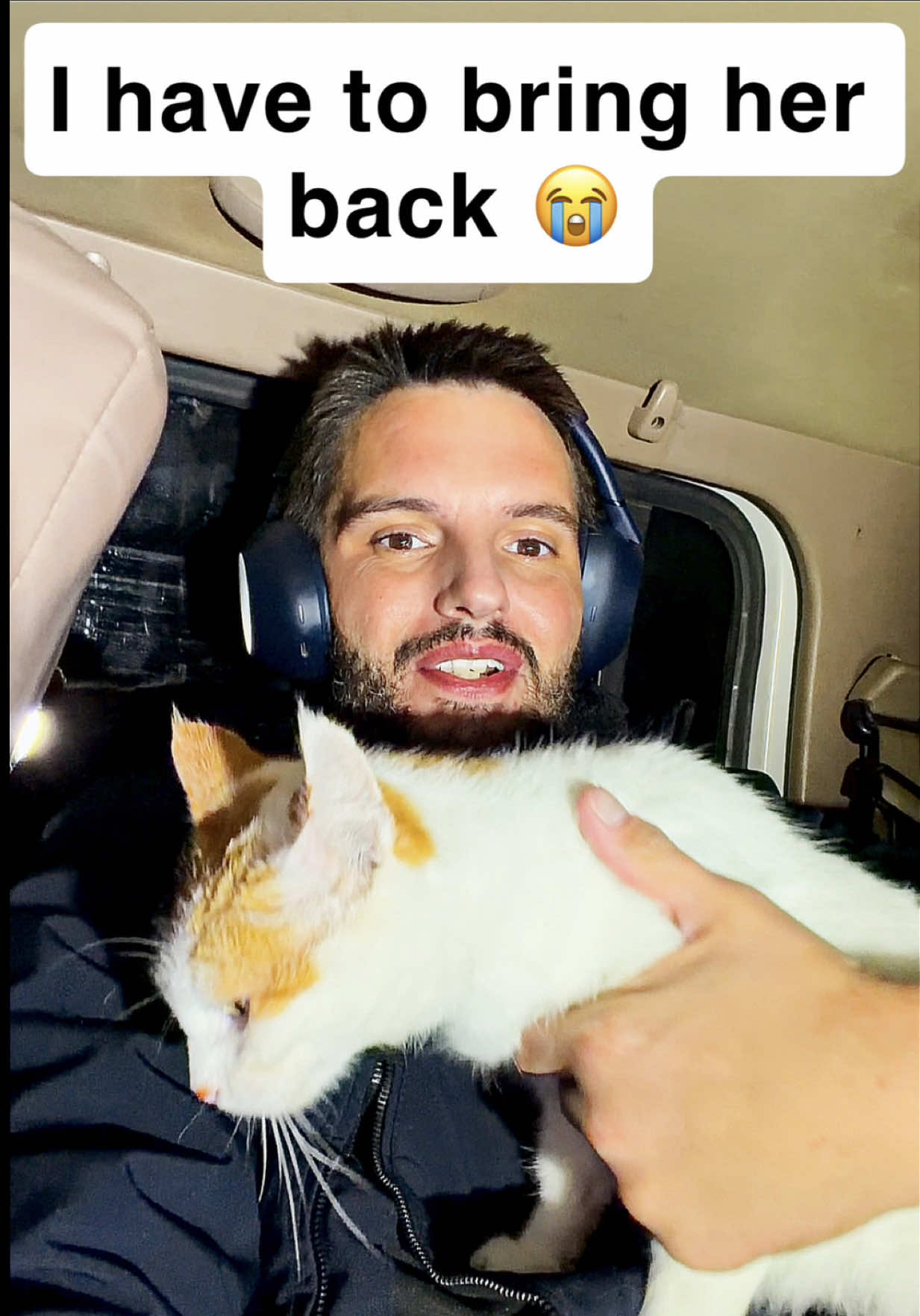 @first class whiskers