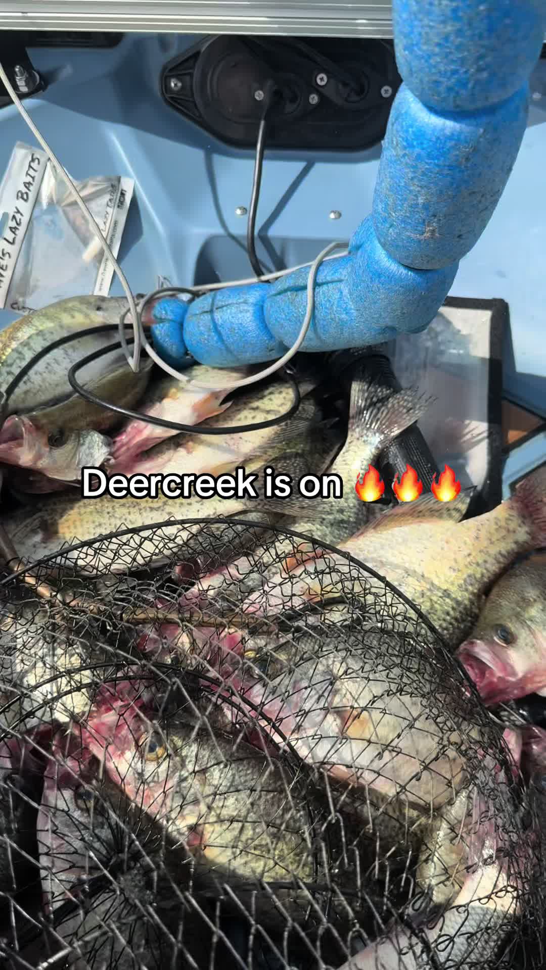 @Dave’s Lazy Baits