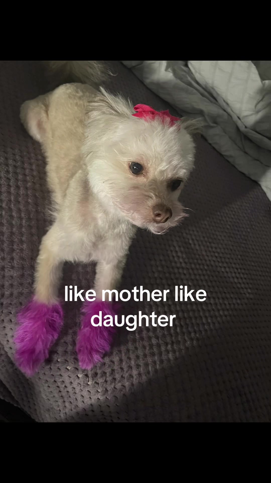 @Mikayla