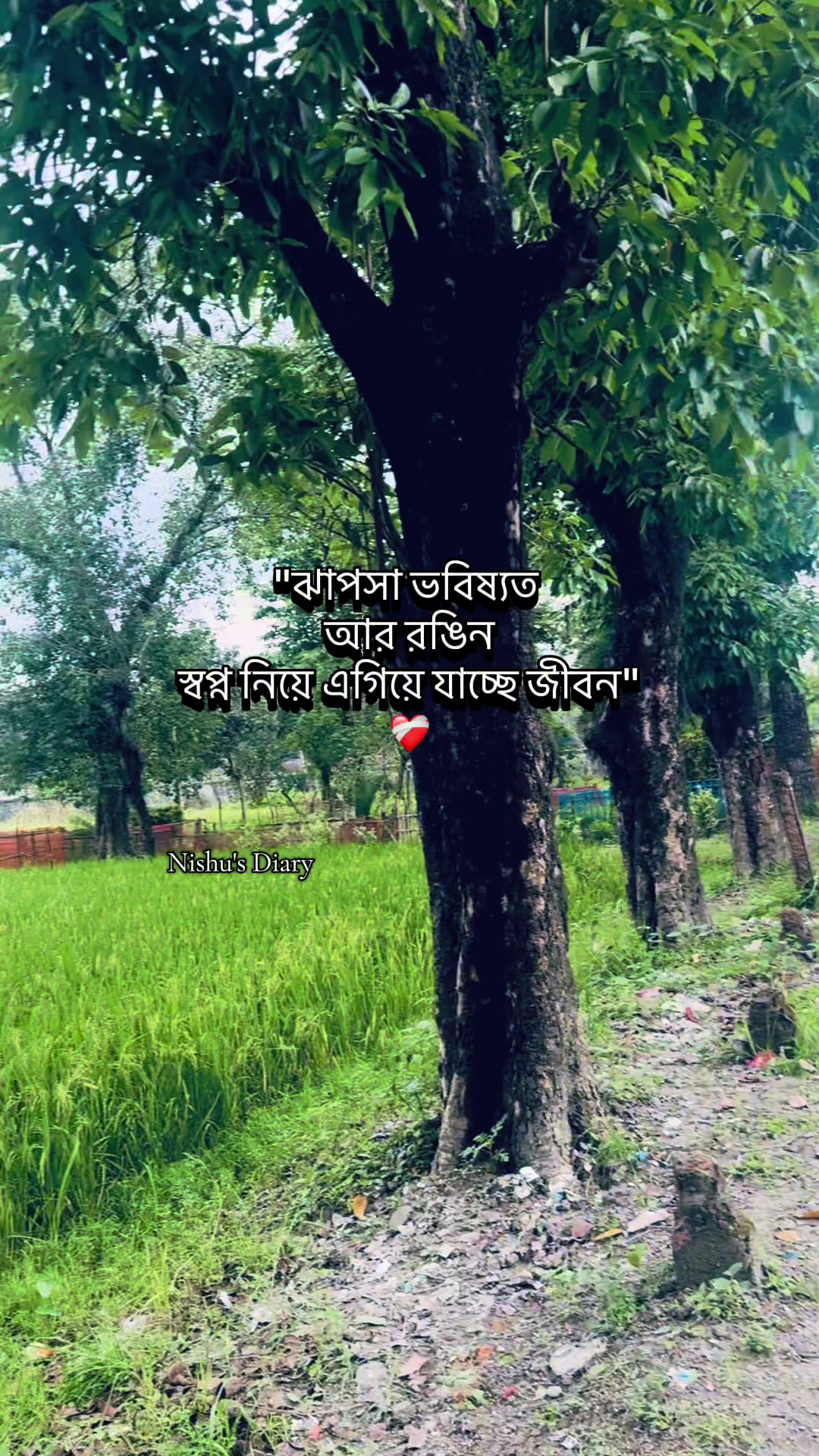 @Nishu's Life"メ