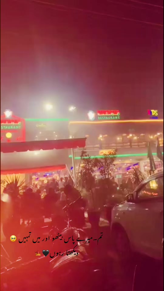 @🍁راجہ حيدر🫀