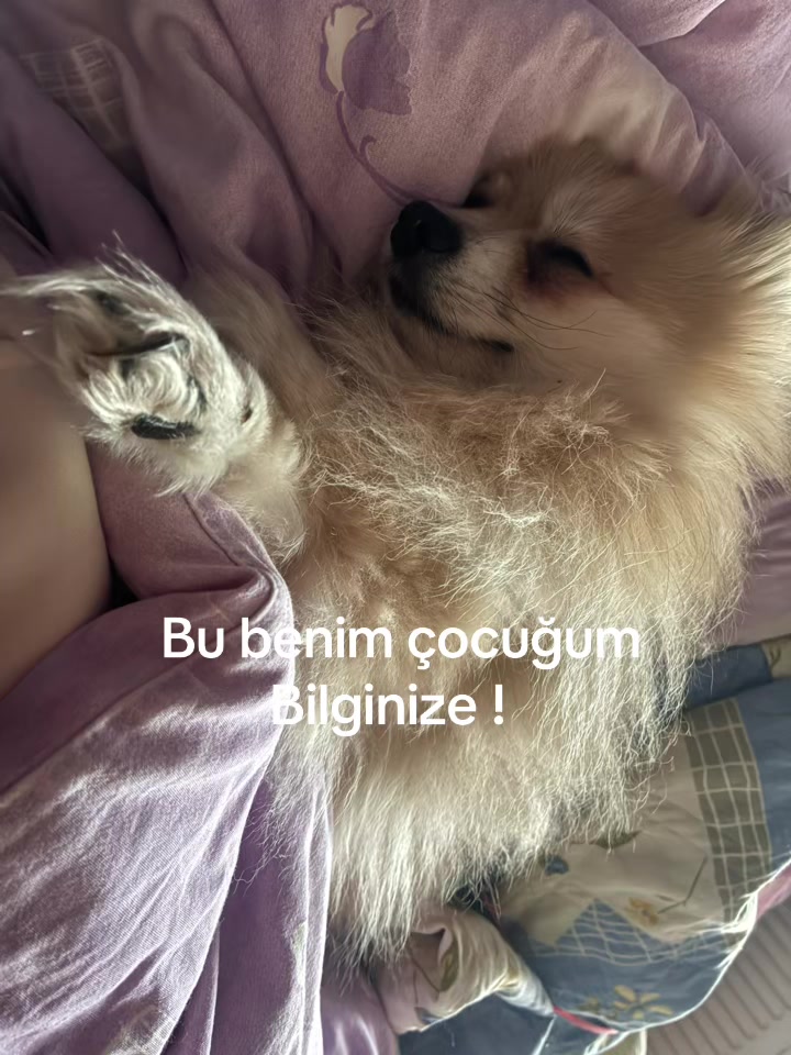 @Merve demirgan