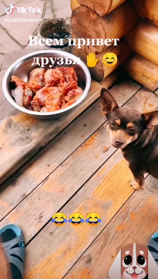 @Александр Олегович ✌️😎