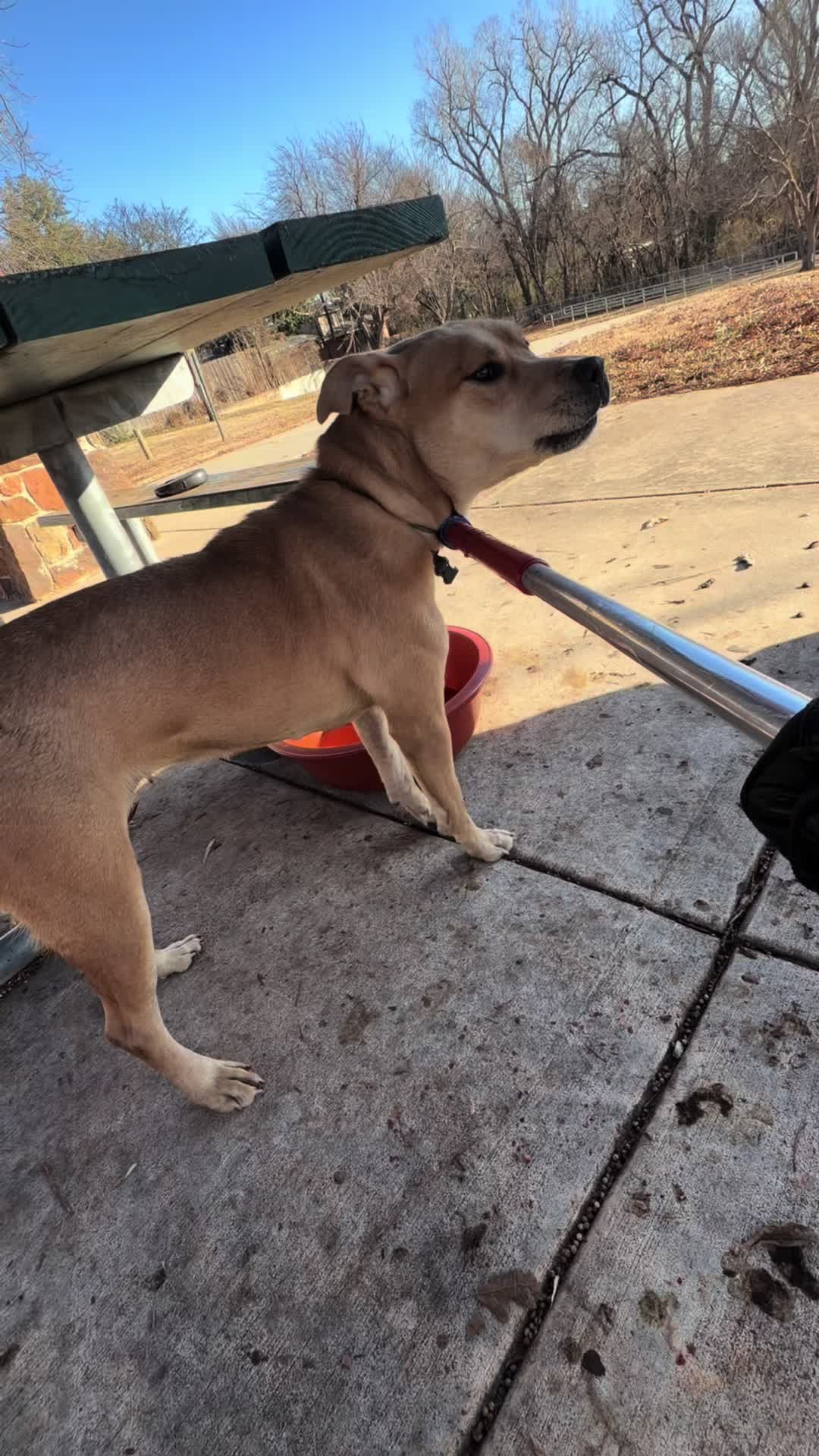 @AnimalWelfareGuy