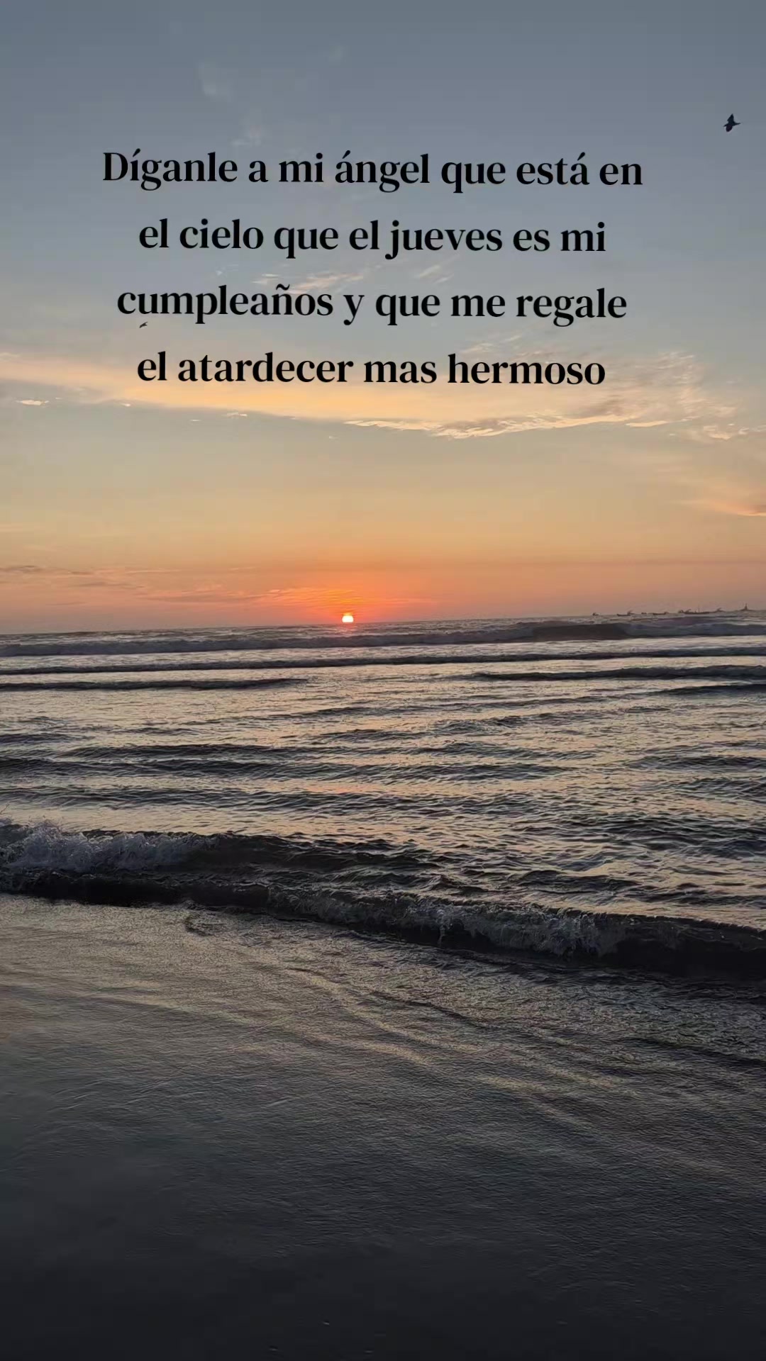 @𝙺𝚊𝚛𝚕a Alvarado 🦥