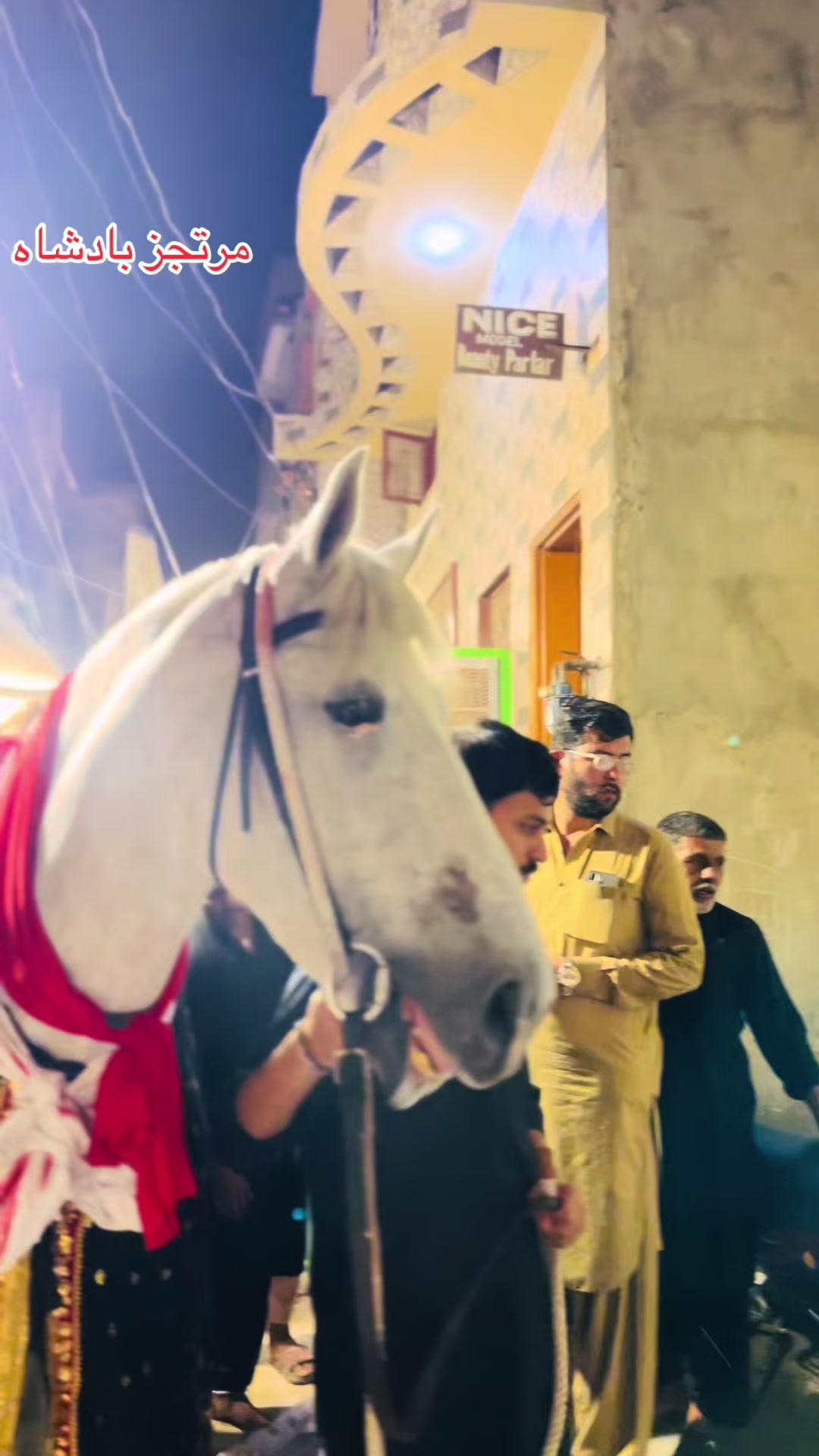 @👑♥️دانش عسکری♥️👑