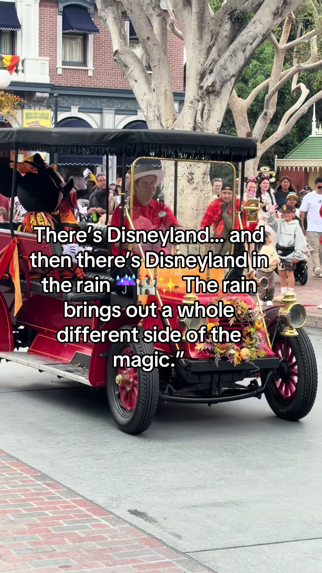 @tinarosethemeparklife
