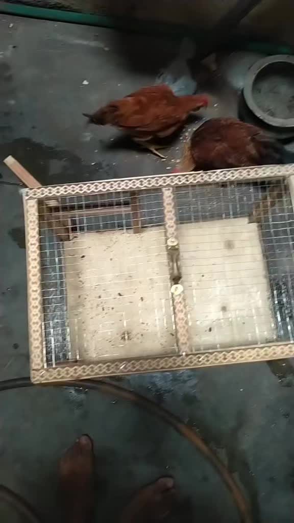 @Asif Ali Bukhari