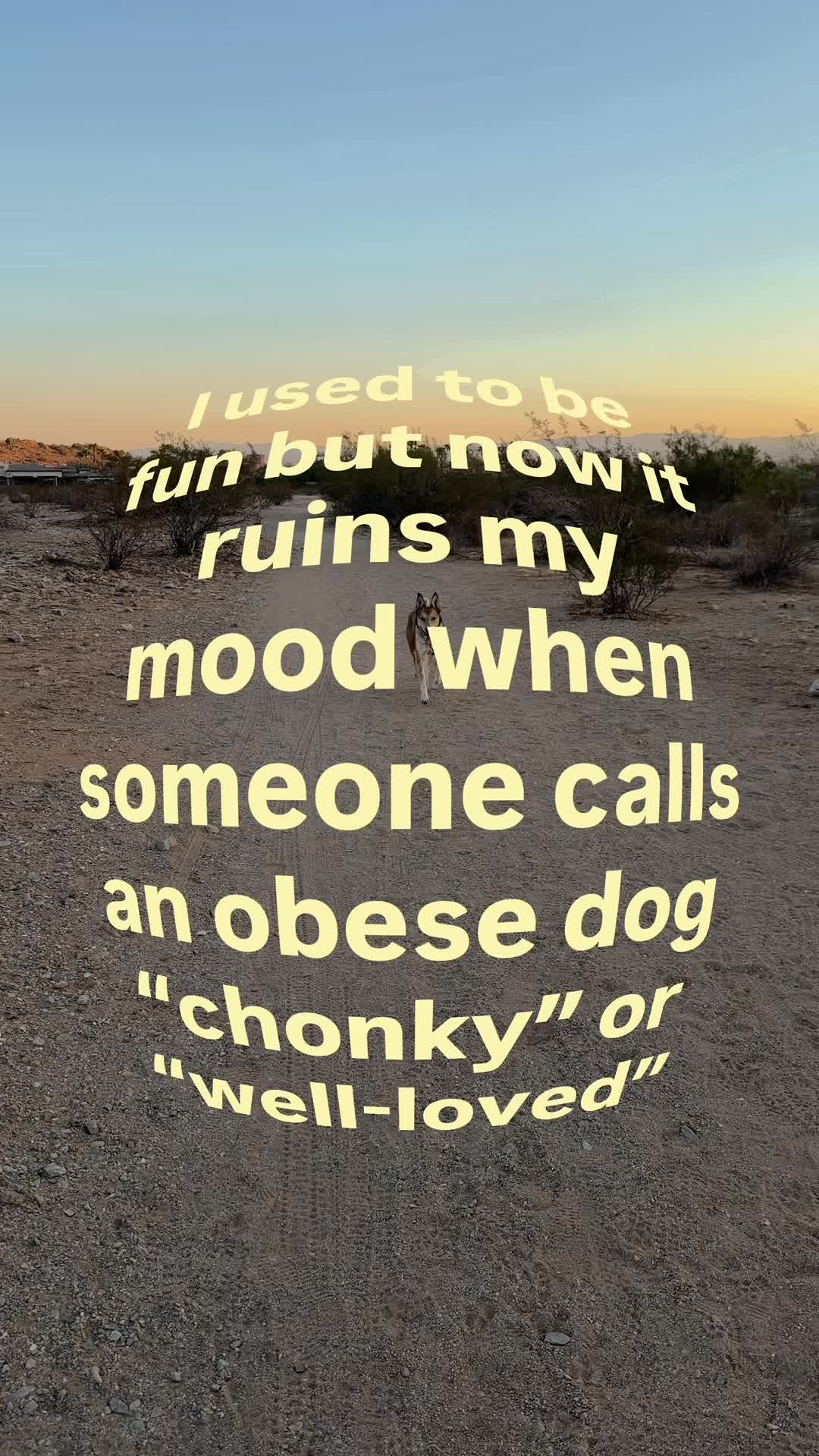 @Marissa | Canine Fitness