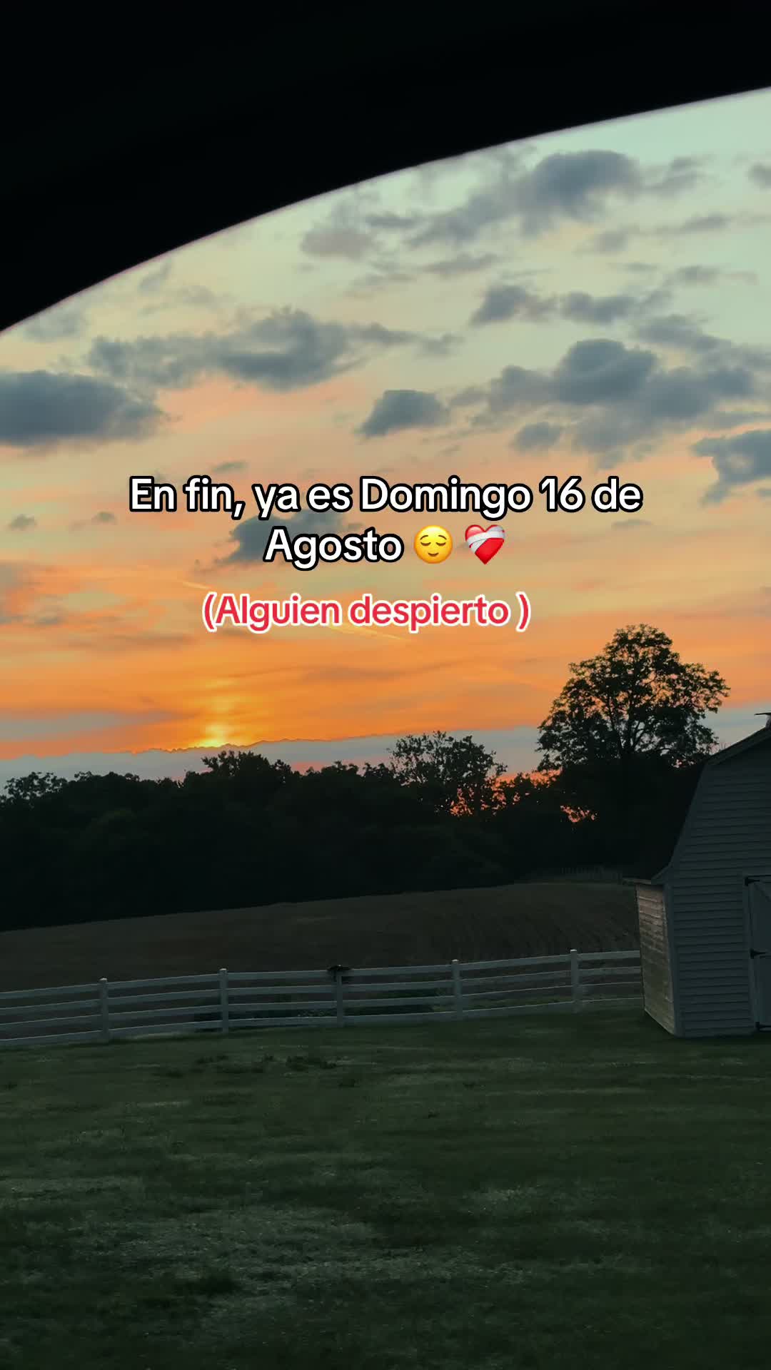 @Abel Velásquez 🦺👷♂️