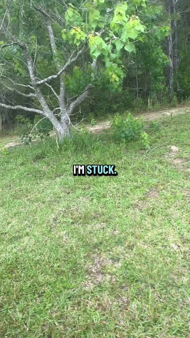 @Sig75Chick