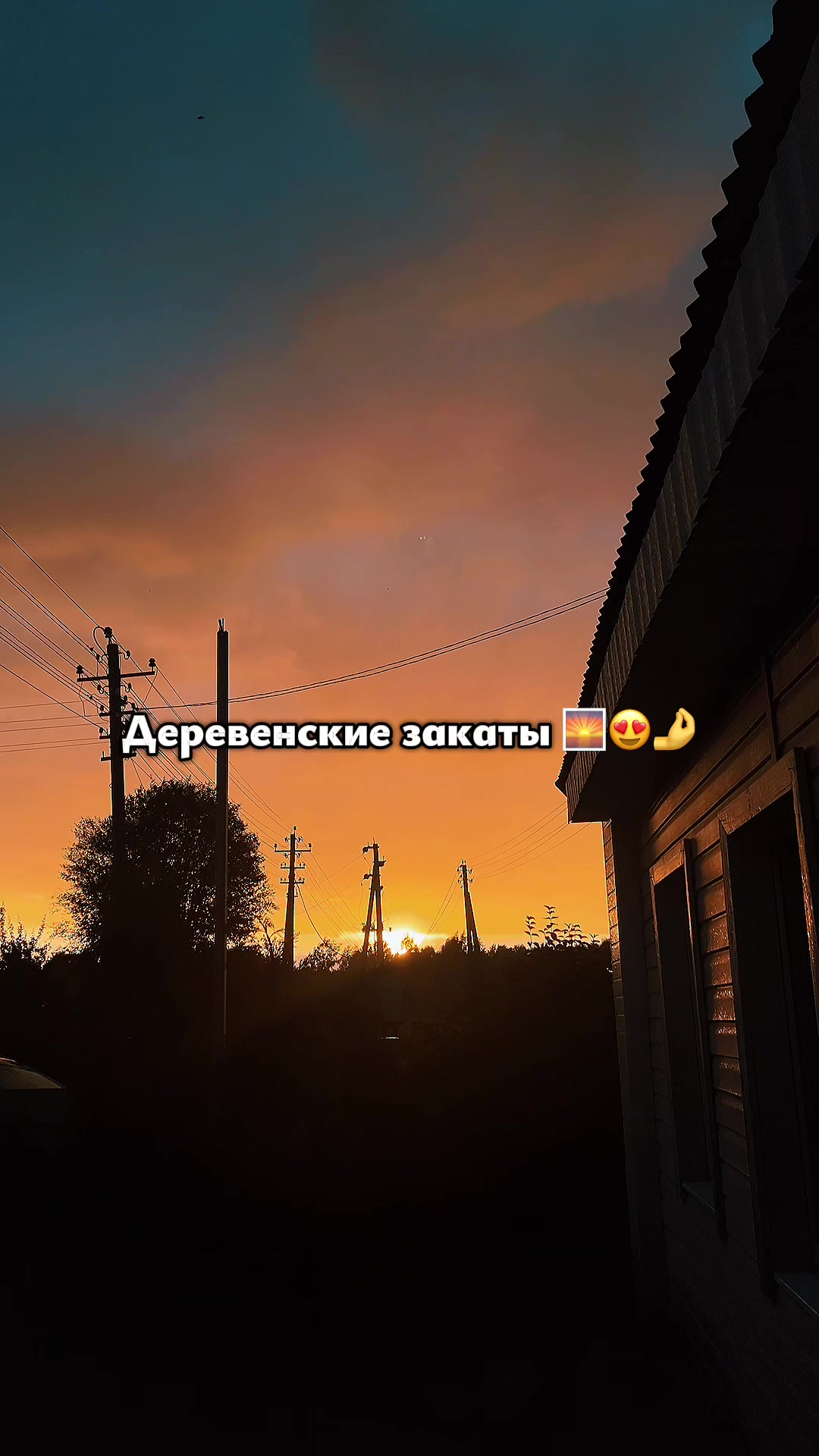 @🌸VeRoNiKa🌸