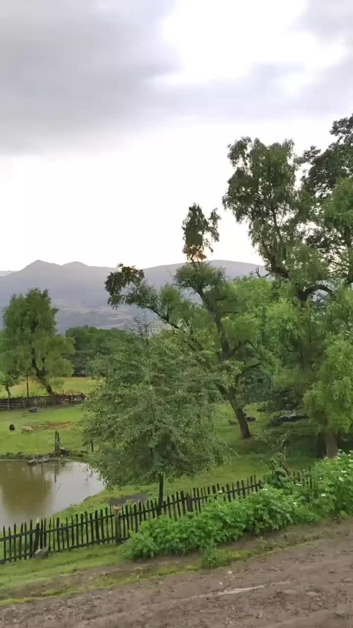 @❤️❤️son ürek❤️❤️