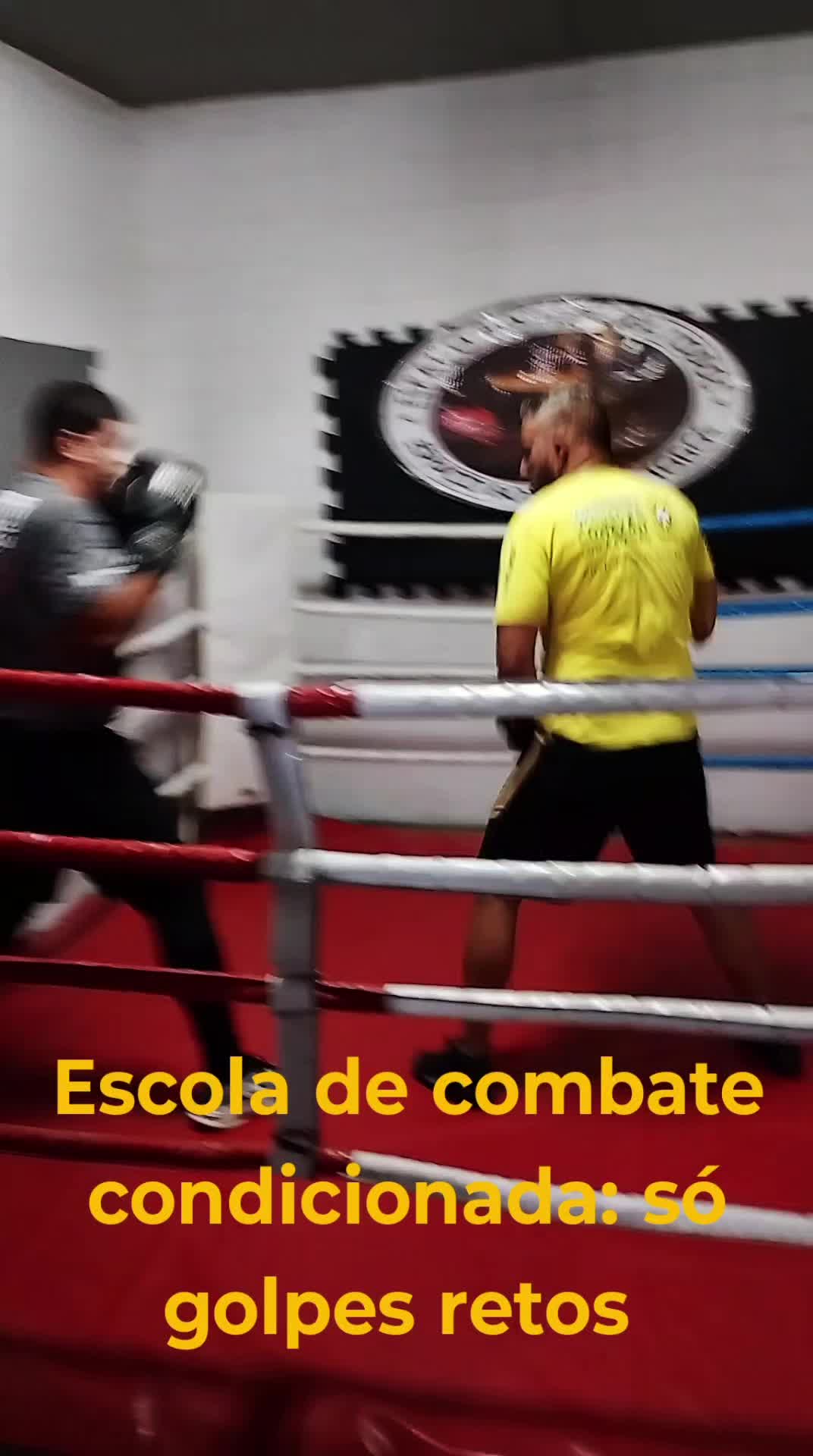 @Afonso Henrique