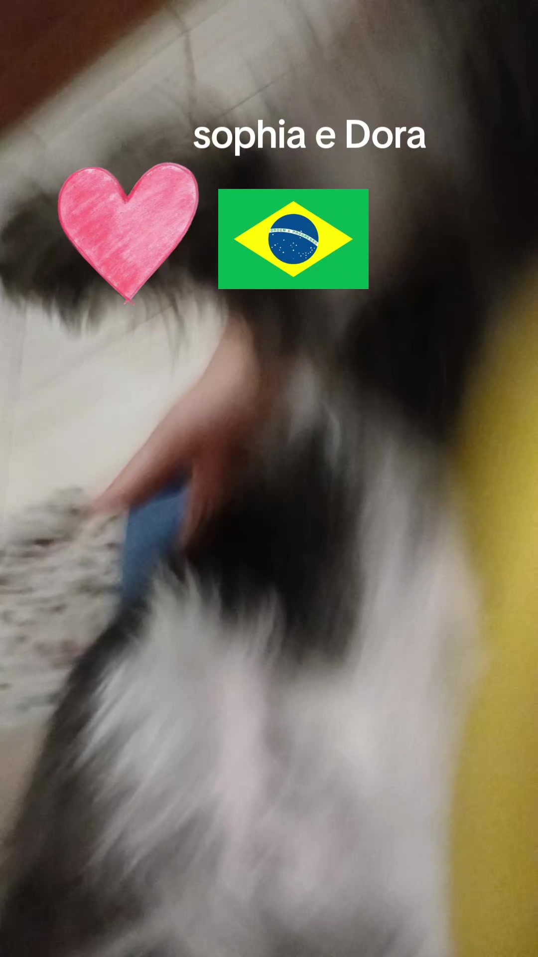 @sophia Isabelly bernardes