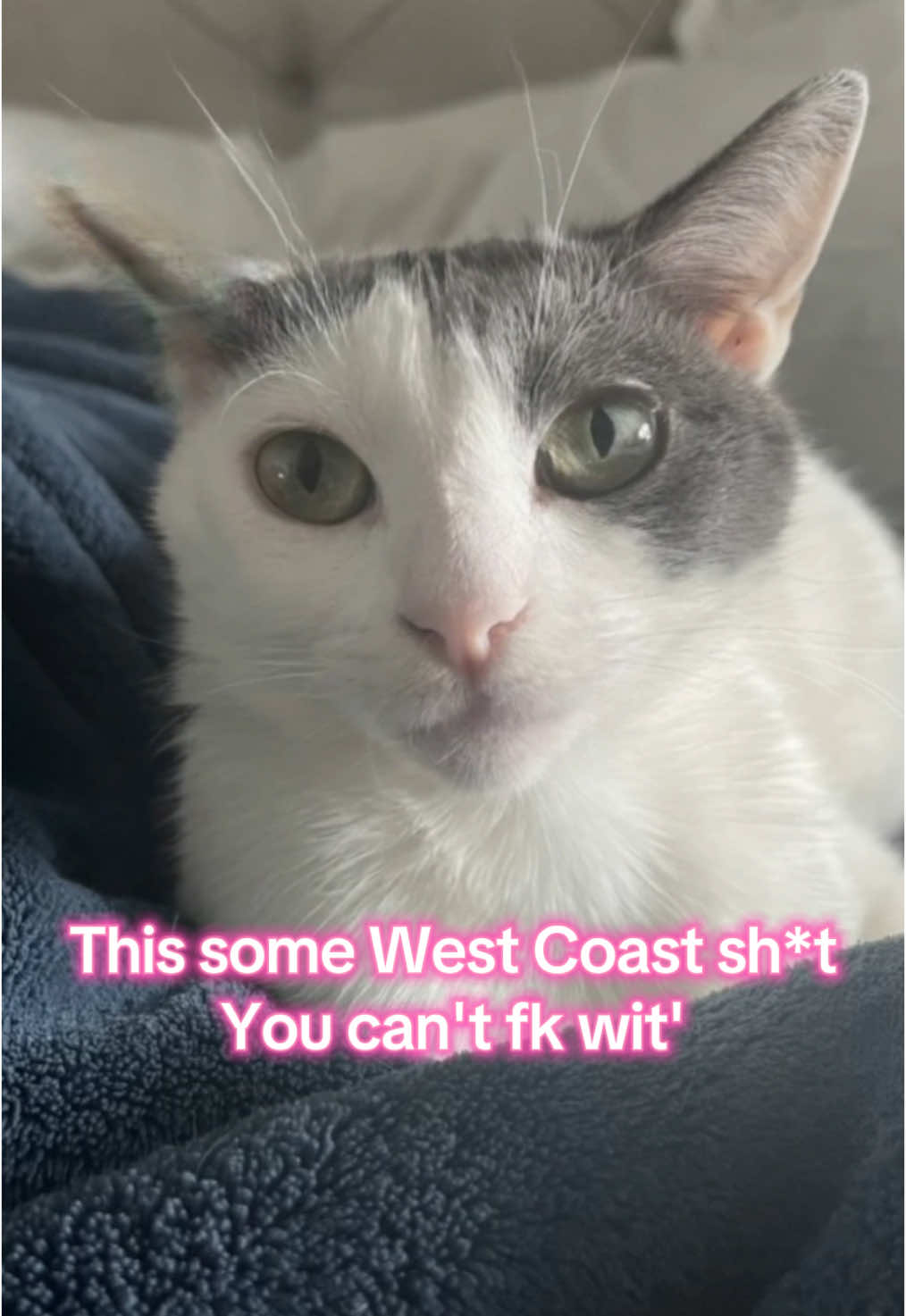 @patchesdapsychopatch