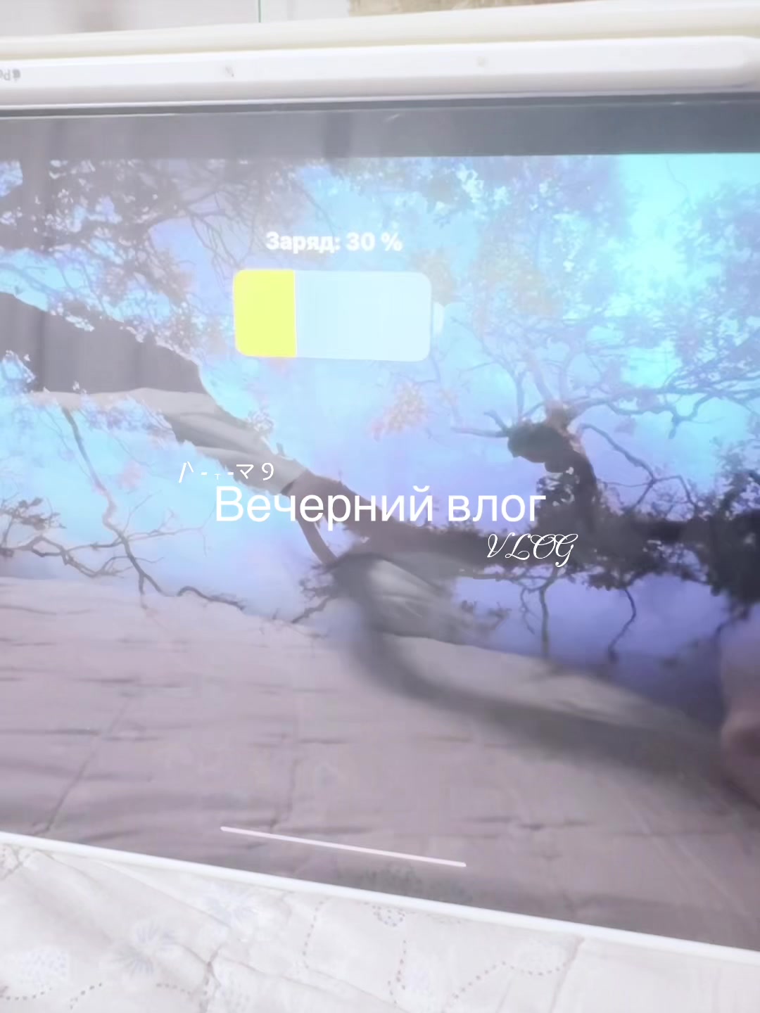 @★˙∘ଘKuruka🍏∘˚✶eva