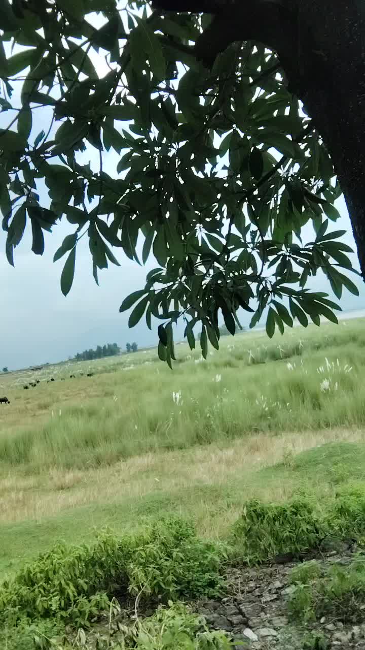 @Kabita Adhikari