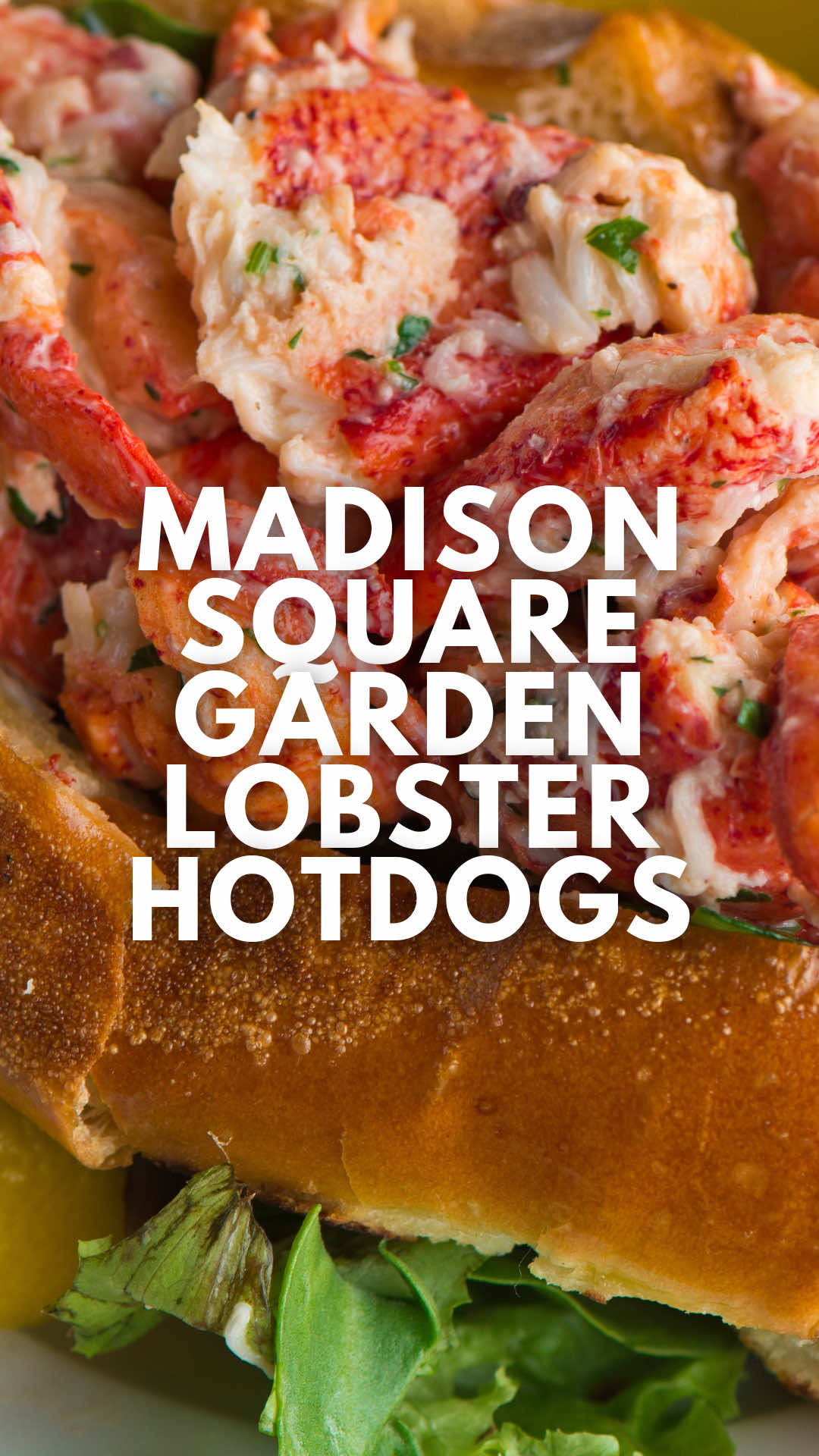 @Peyton ✨ NYC + Travel