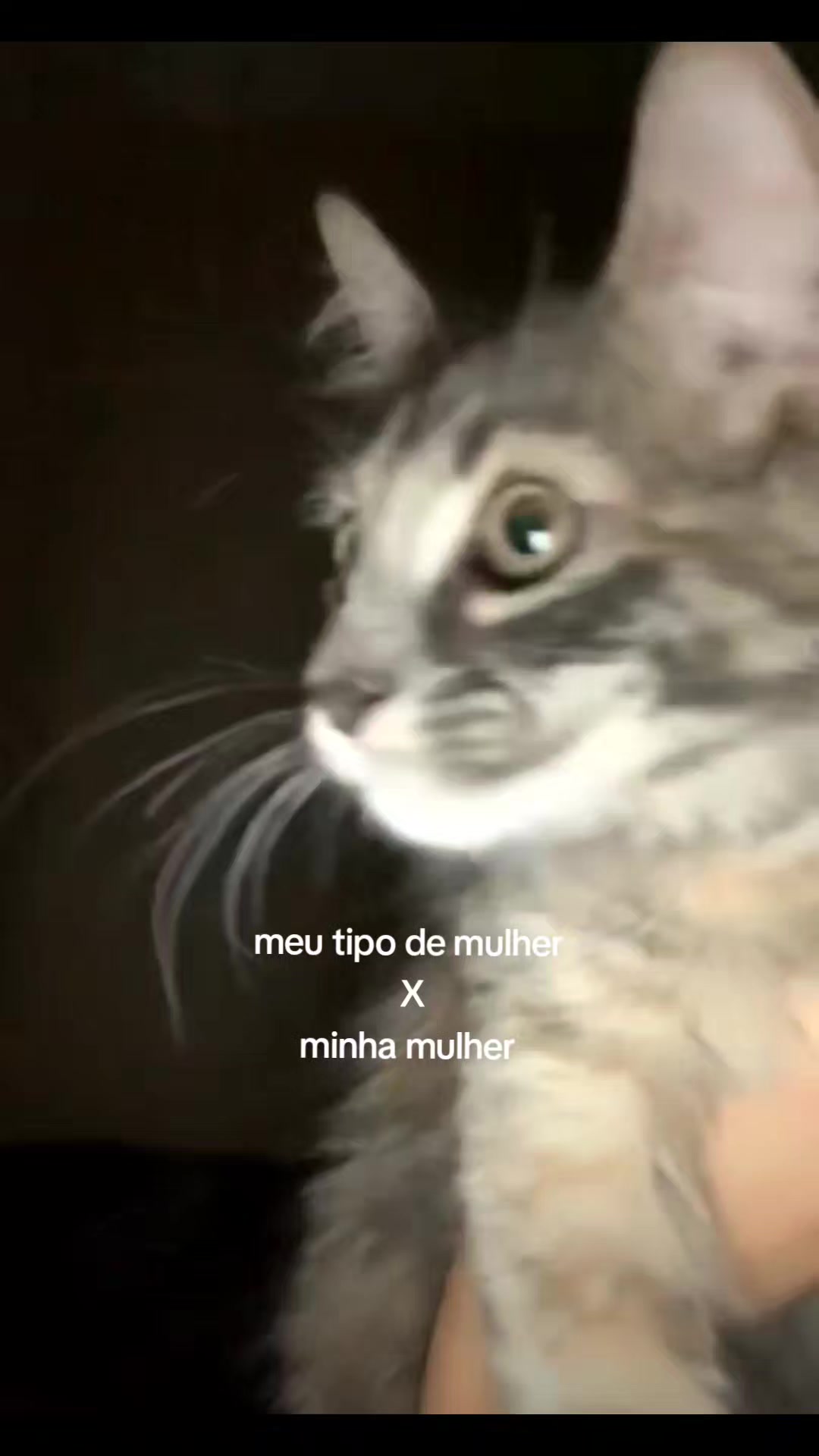 @ᥬᩤ Sapatonas reunidas ᥬᩤ
