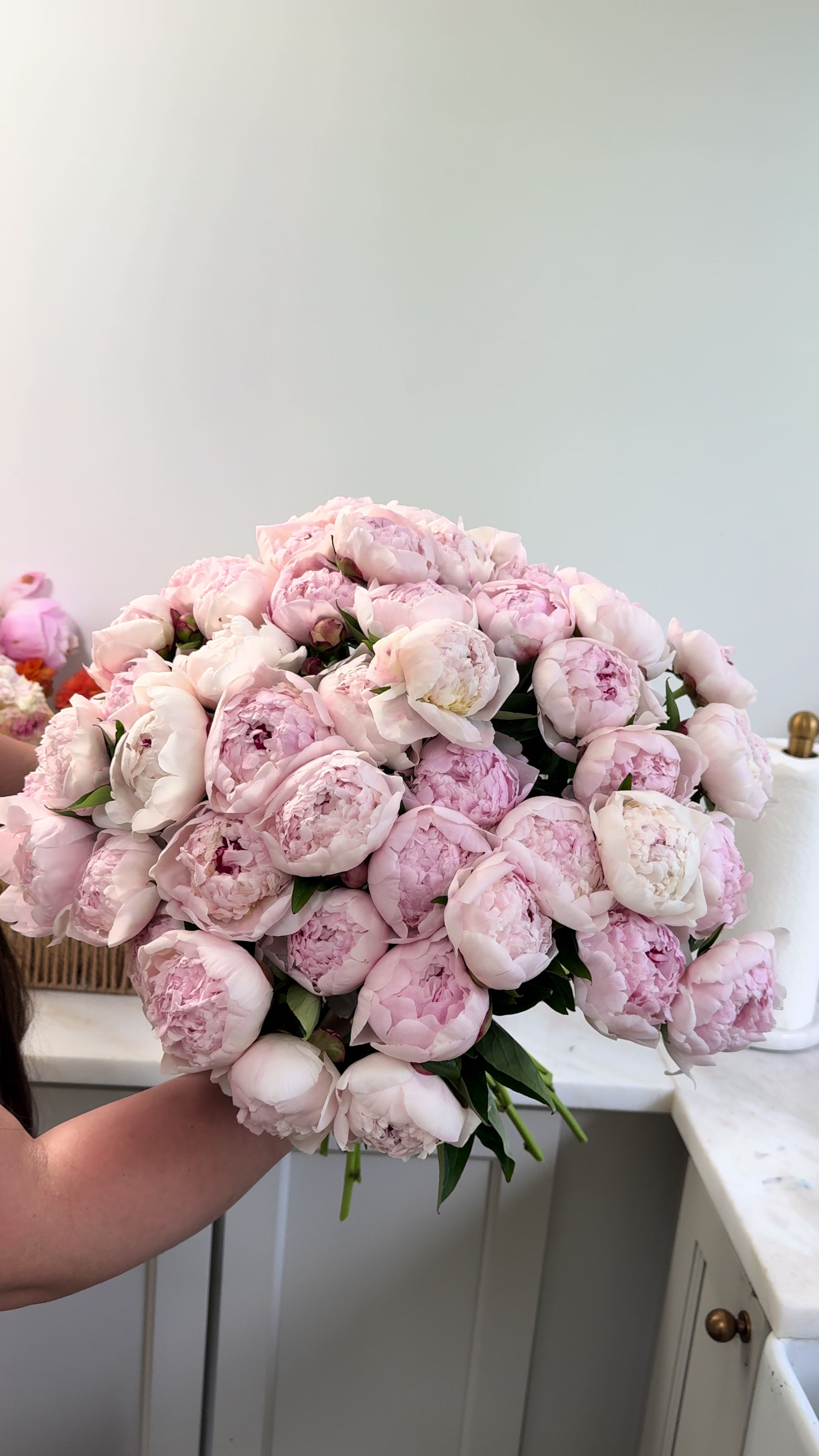 @solo.flowers