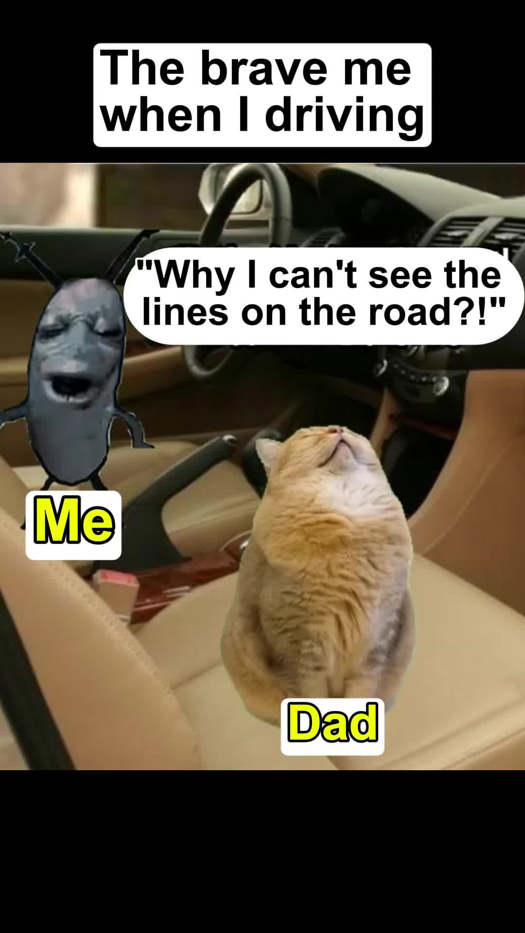 @Meme Meow 🐈🐈⬛