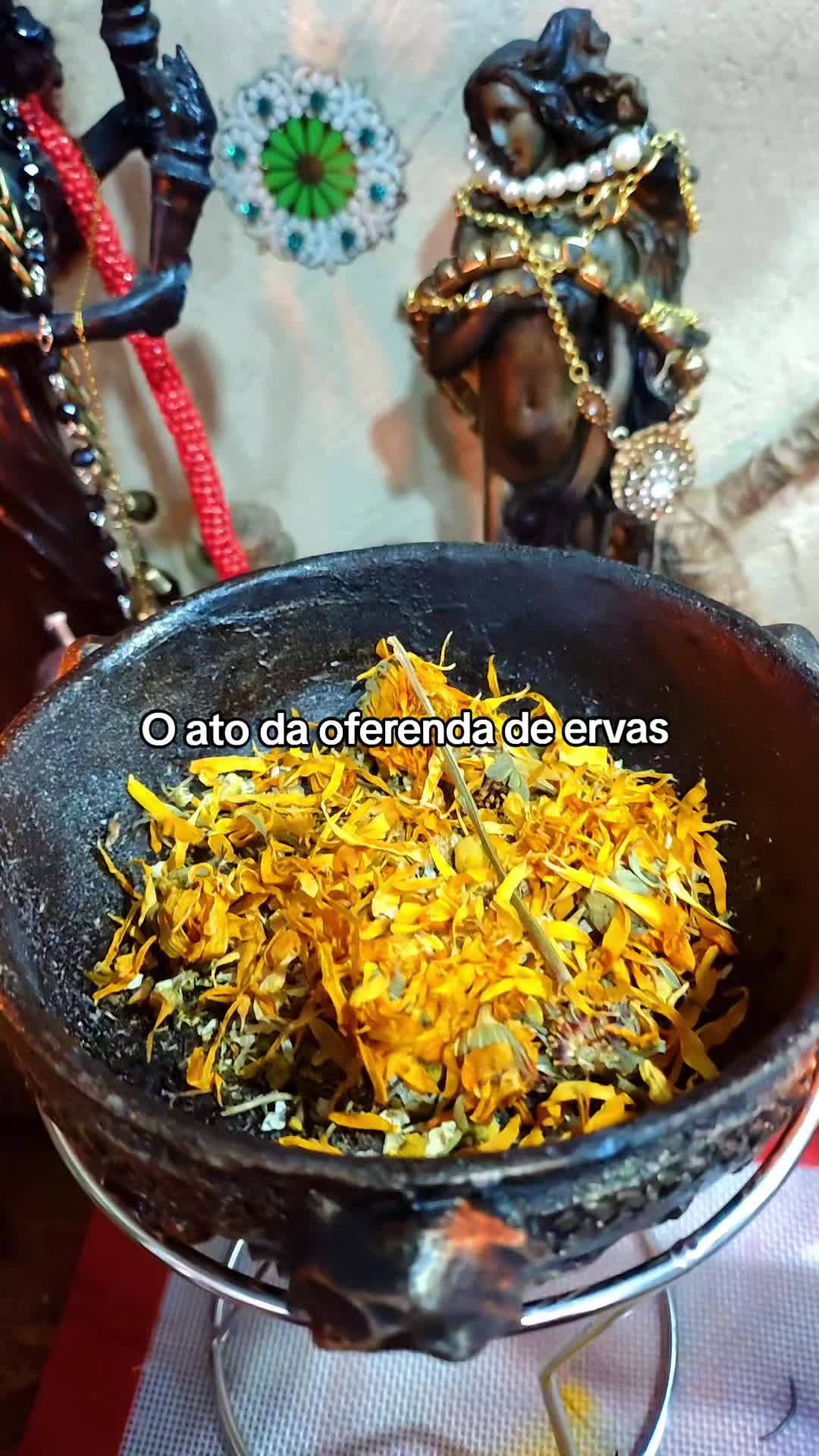 @ViviTriwitch