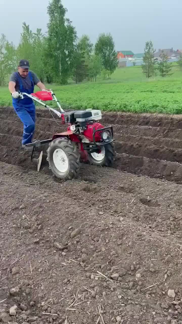 @Владимир