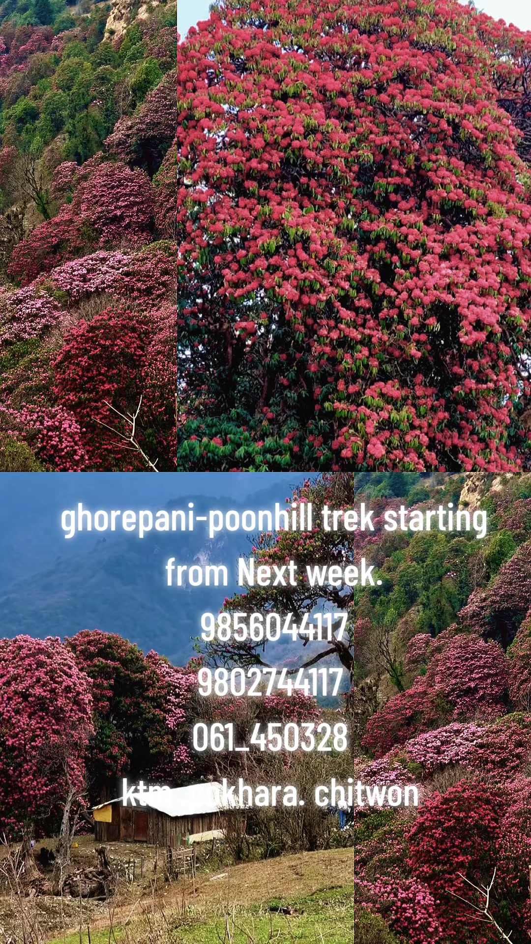 @Atithi Trip Nepal 🇳🇵 🙏