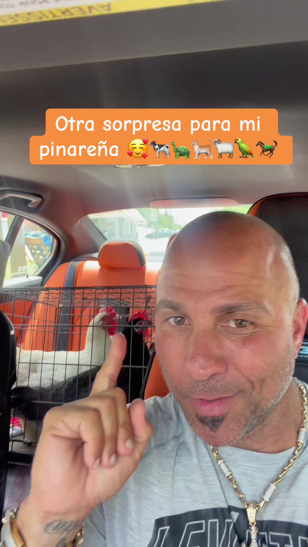 @Jorge Rodriguez