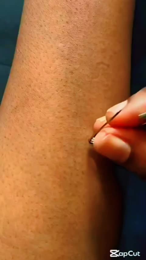@AniMasterz41