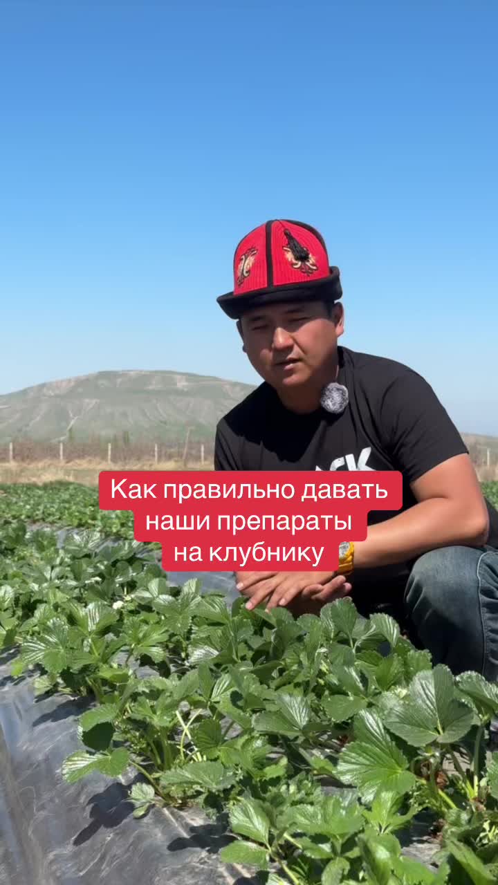 @Don_agro.kg