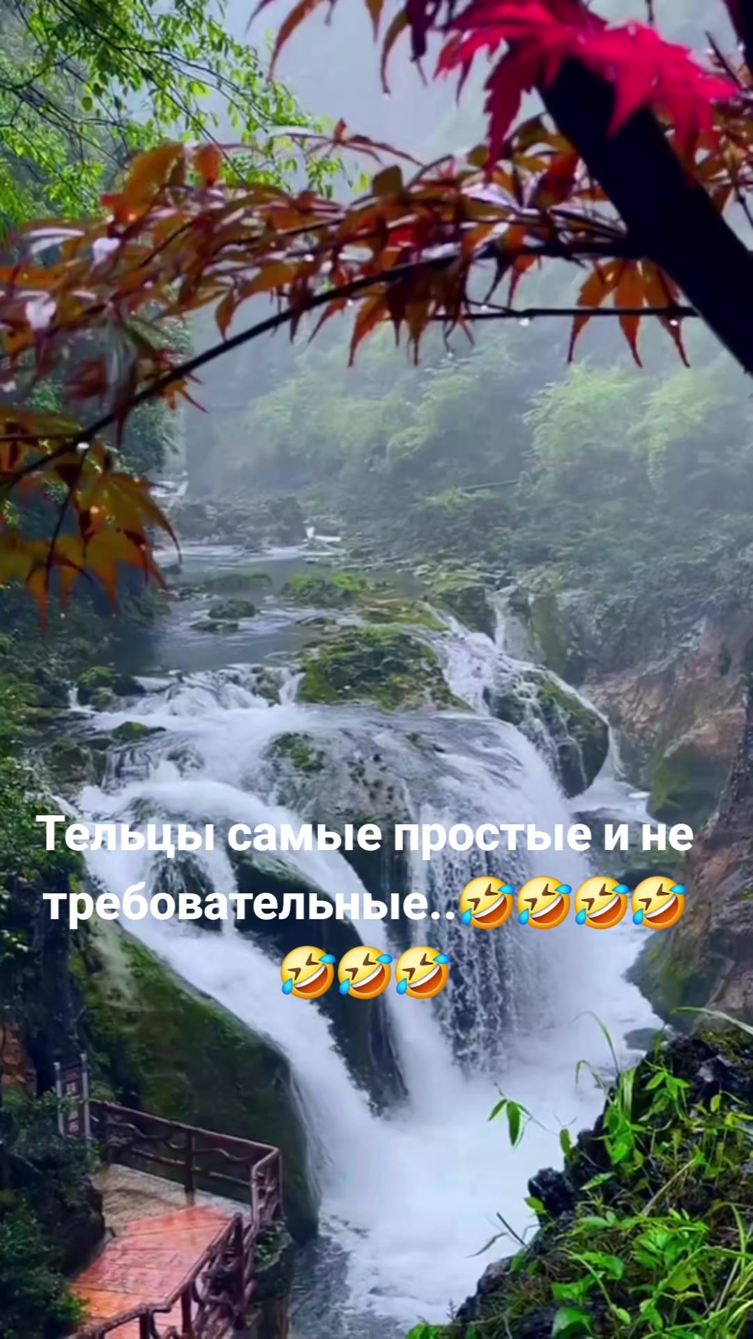 @Мила Телец.