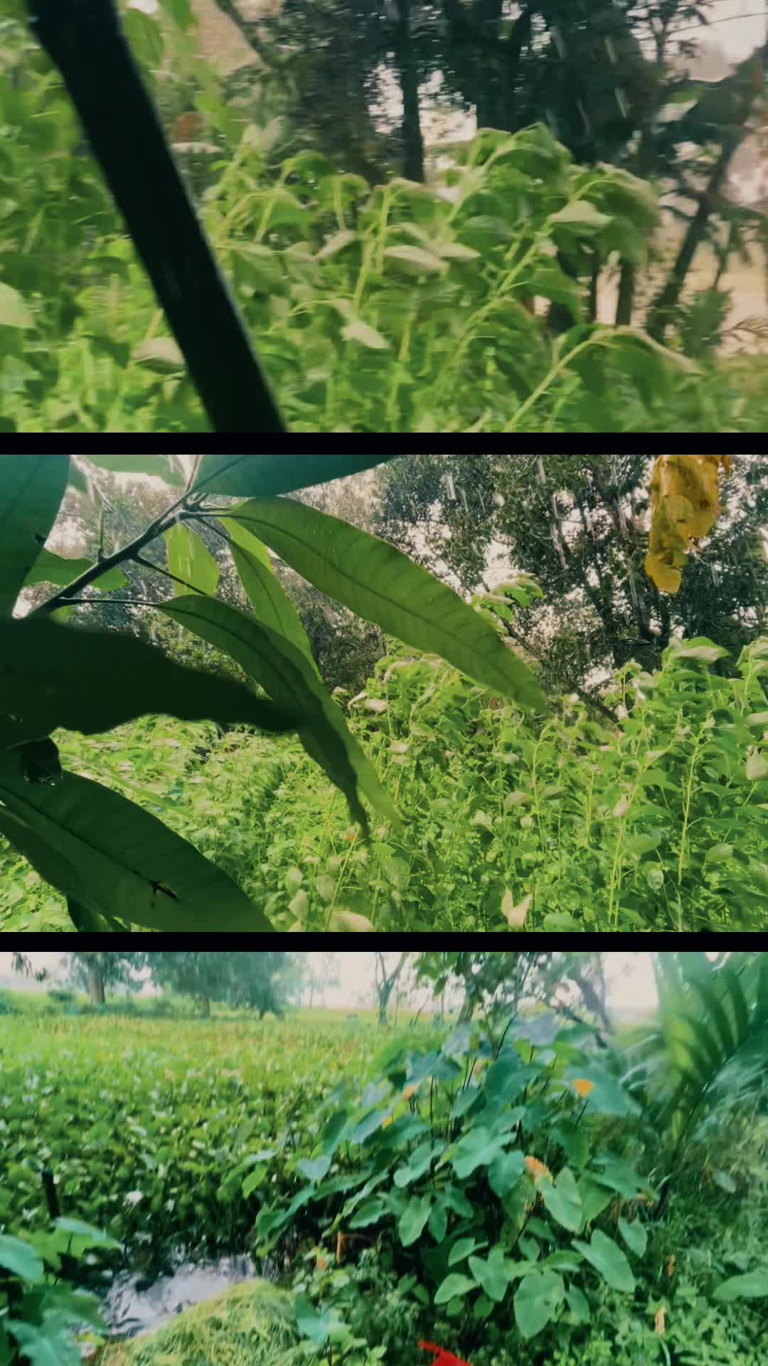 @Oishee 🤍🌼
