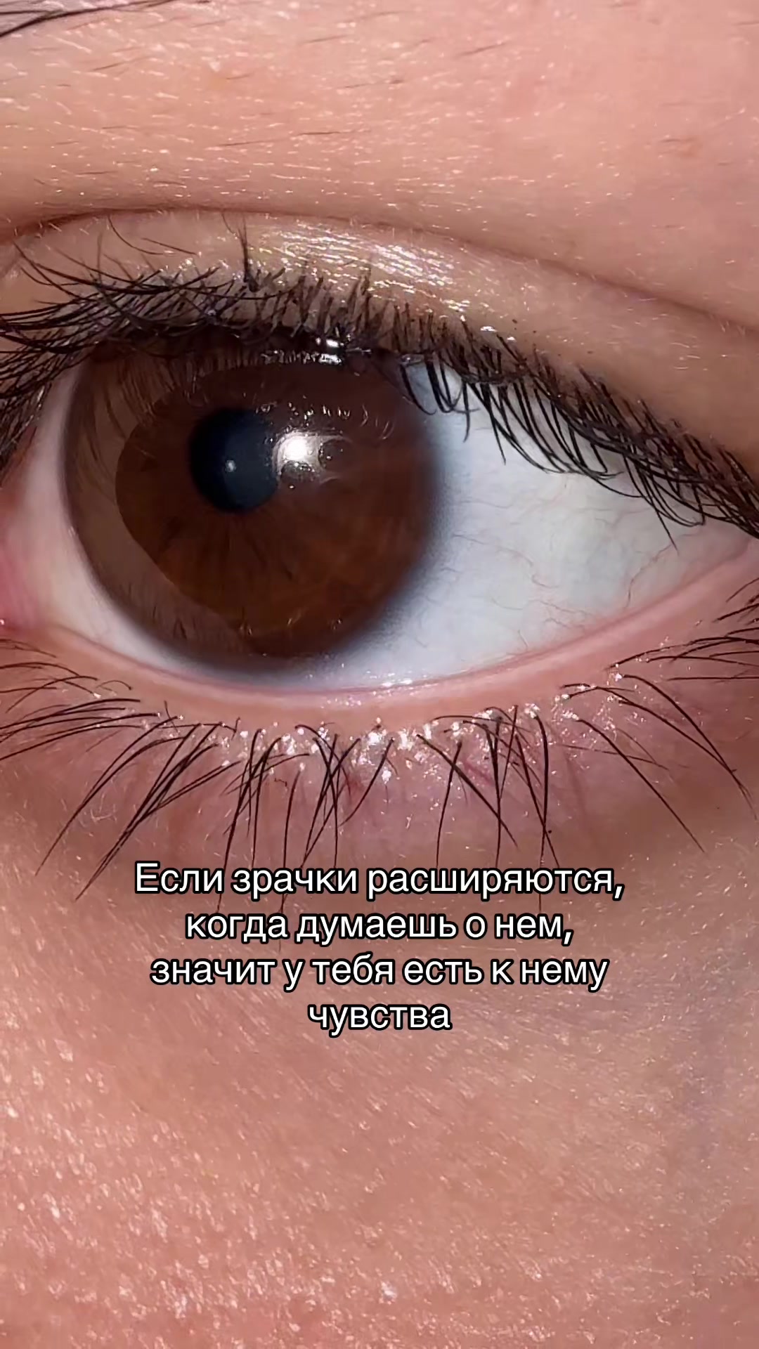 @дива
